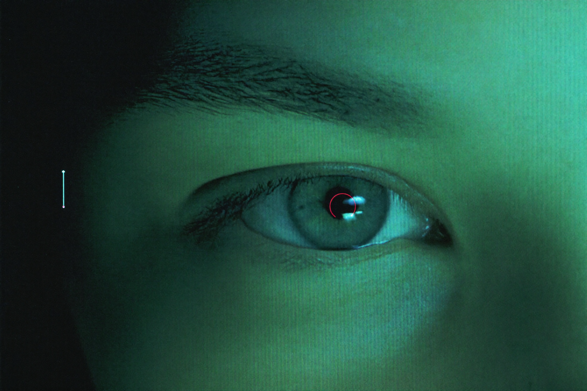 A close-up of an eye being tracked by software